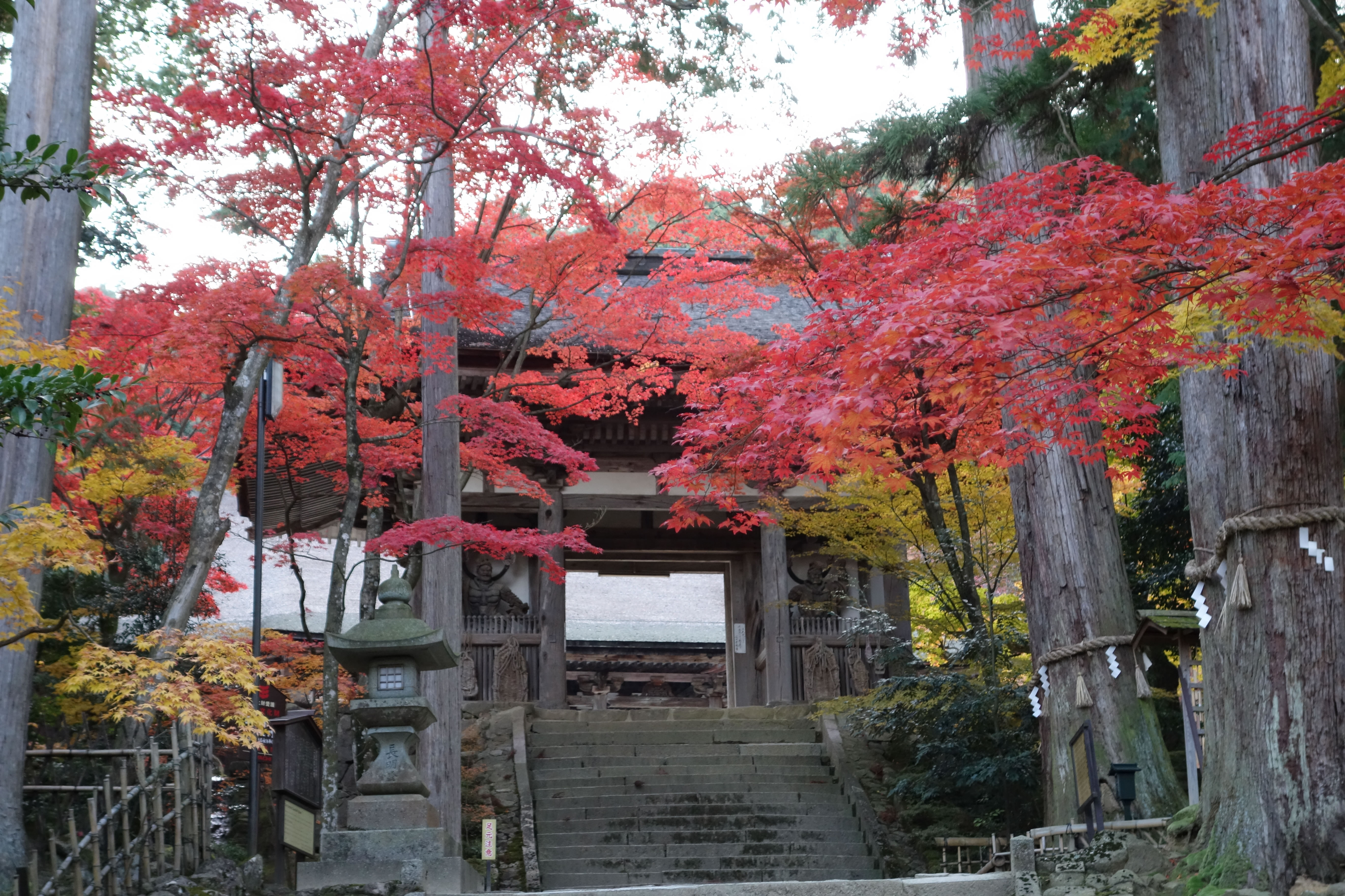 湖東三山西明寺の公式ホームページ 湖東三山 のひとつ西明寺は 国宝の本堂や三重塔の建造物をはじめ 迫力の二大天王や十二神将といった重要文化財の数々があります また紅葉 と苔が美しい庭園が名所の西明寺は 西国薬師四十九霊場の第三十二番札所でもある