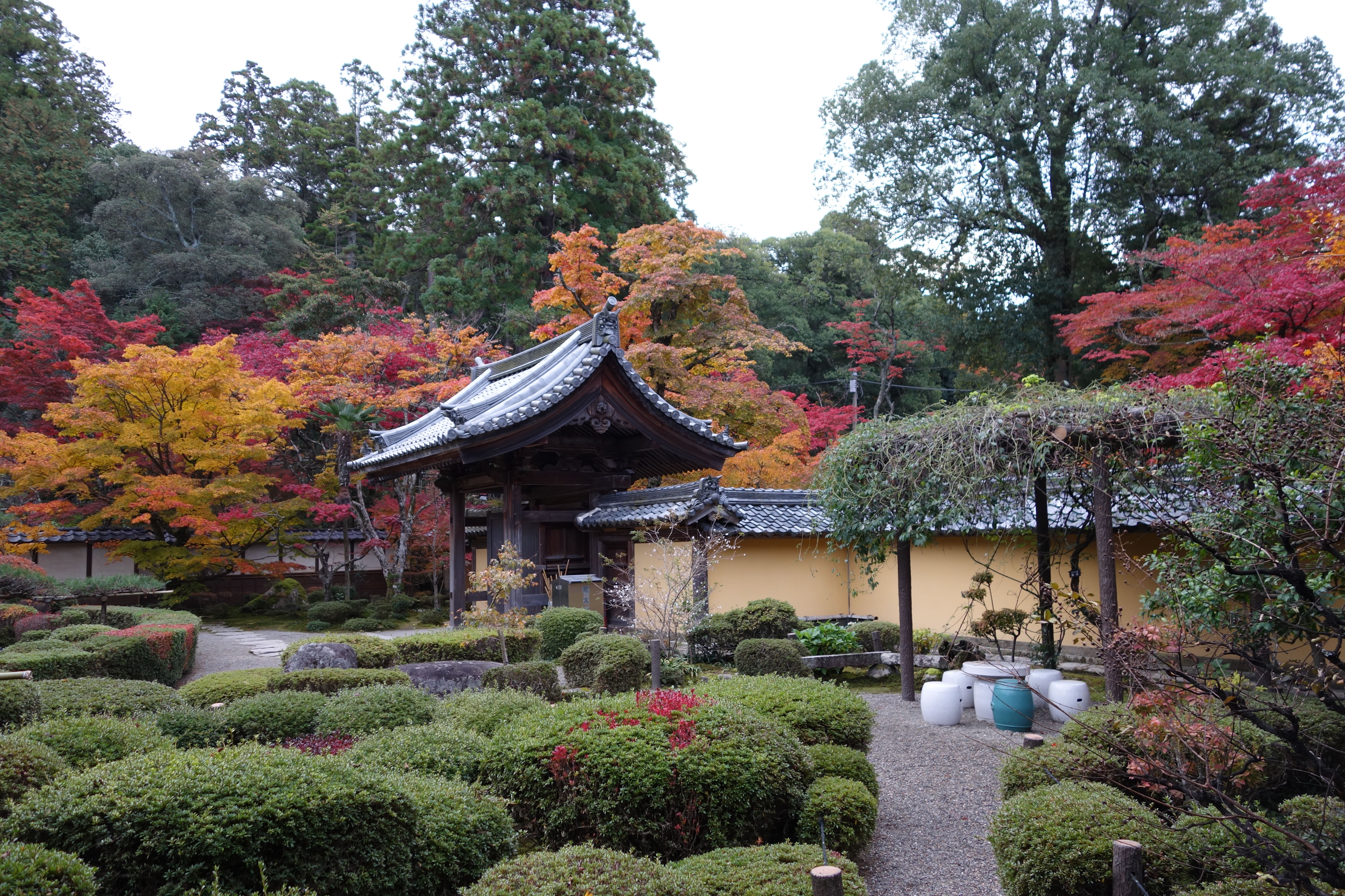 English 湖東三山西明寺の公式ホームページ